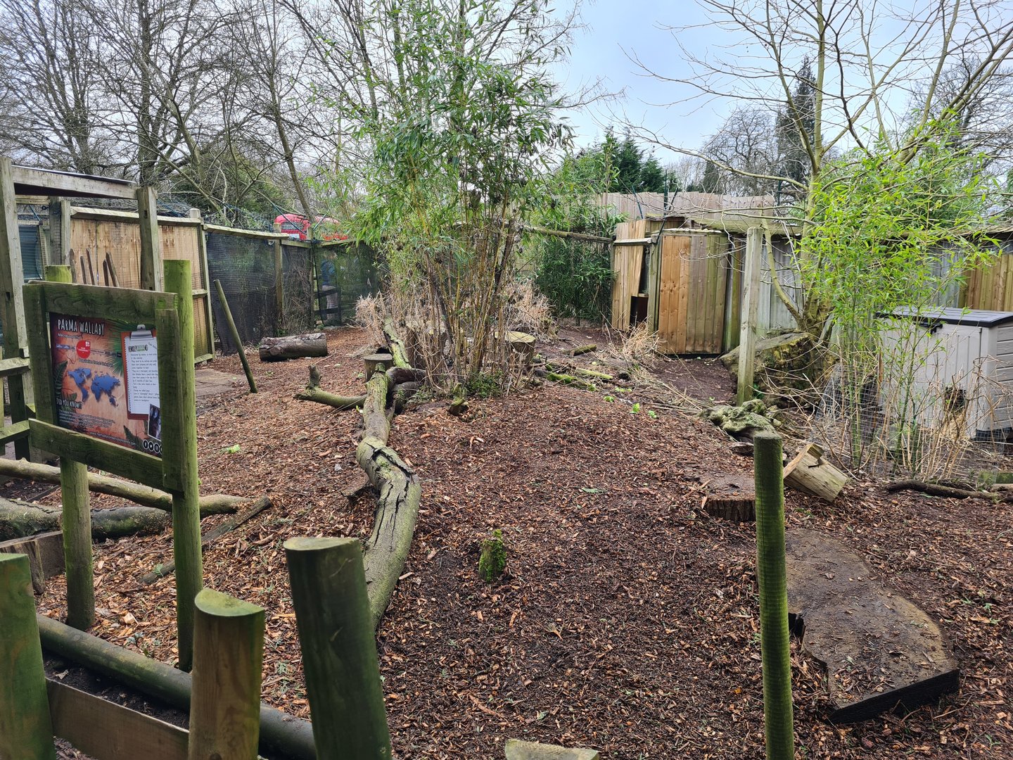 Parma Wallaby Walkthrough