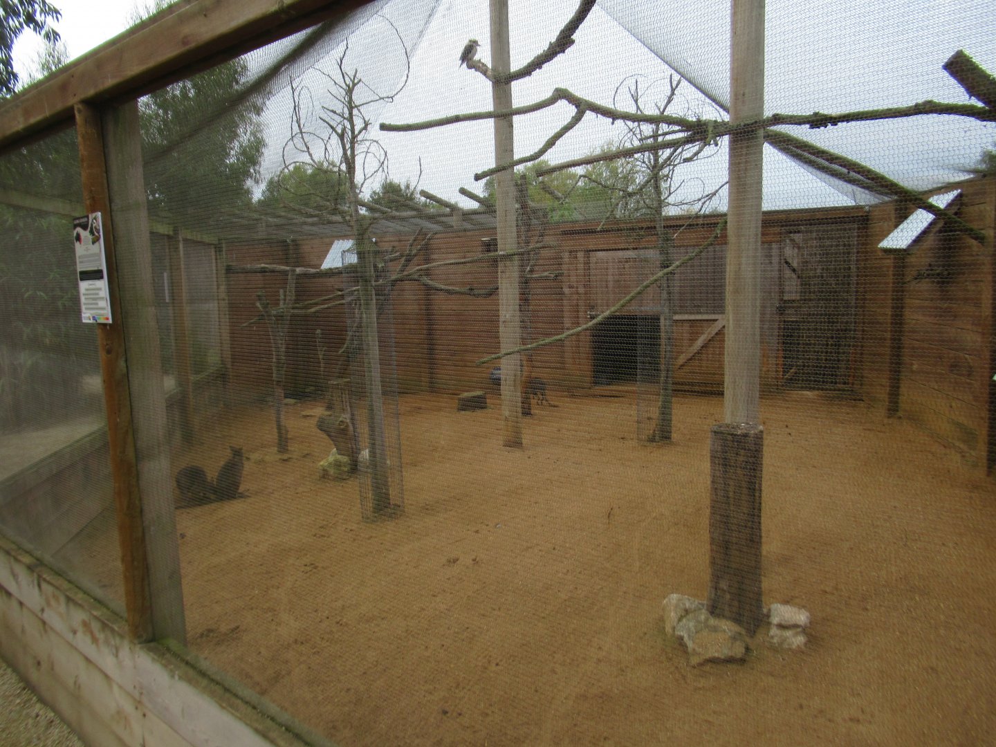 Parmer wallaby and kookaburra enclosure