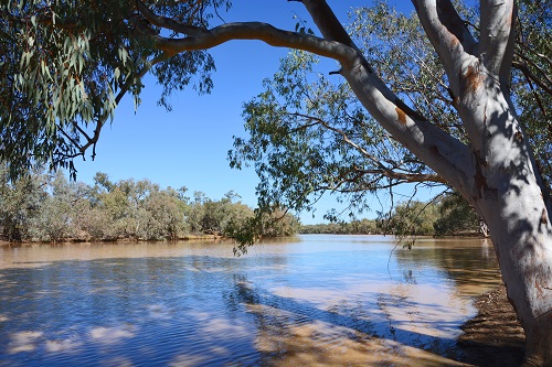 Paroo river.  NSW