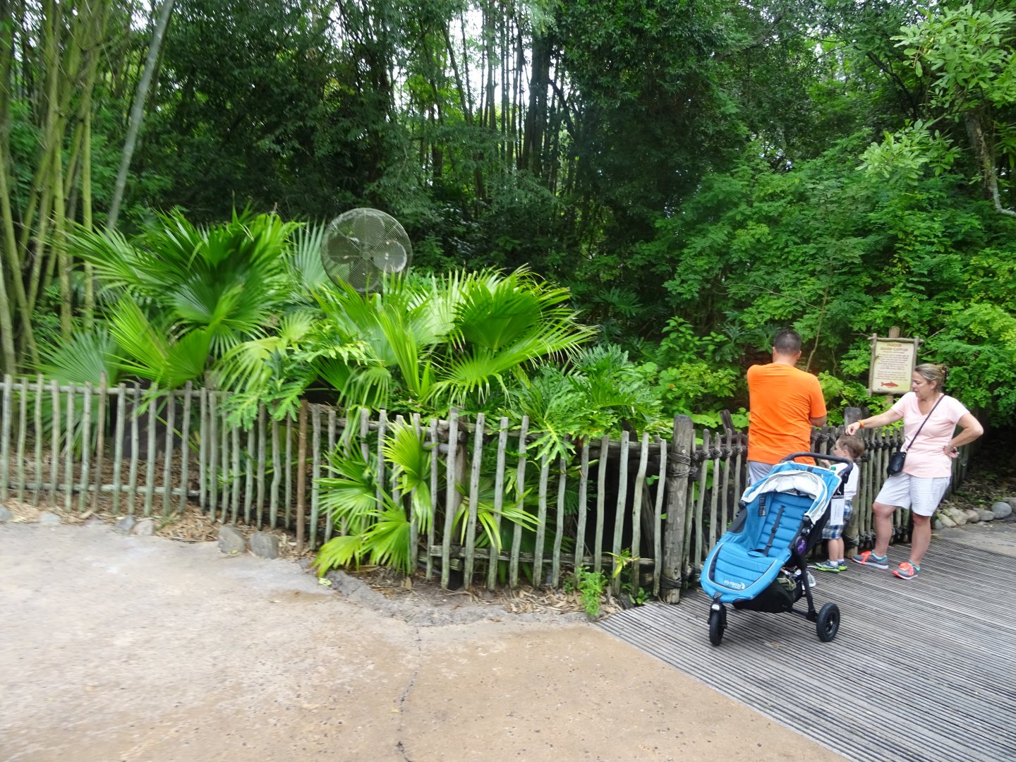 Paroon Shark Enclosure at Disney's Animal Kingdom (2014)