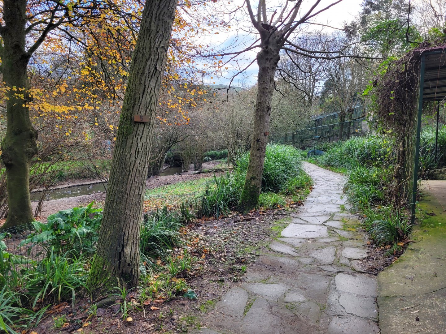 "Parque Cuaternario" view -Zoo de Santillana del Mar (2023)