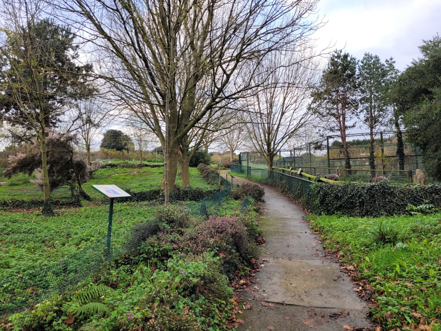 "Parque Cuaternario" view -Zoo de Santillana del Mar (2023)