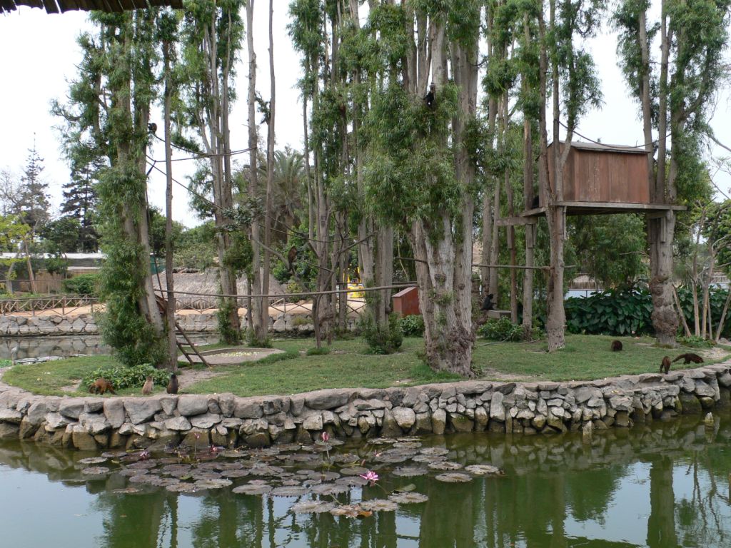 Parque de Las Leyendas - Lima