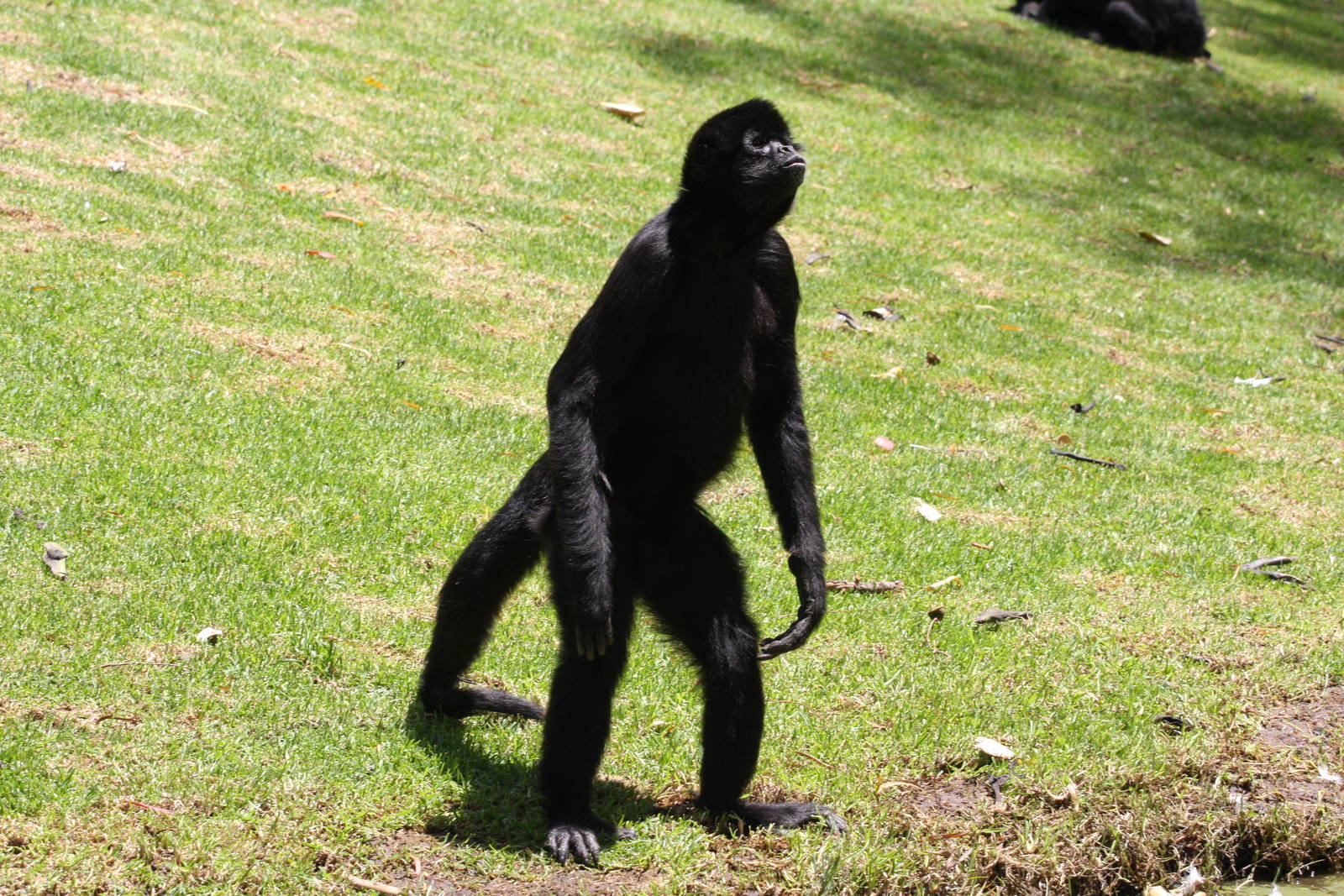 Parque Jaime Duque 2012