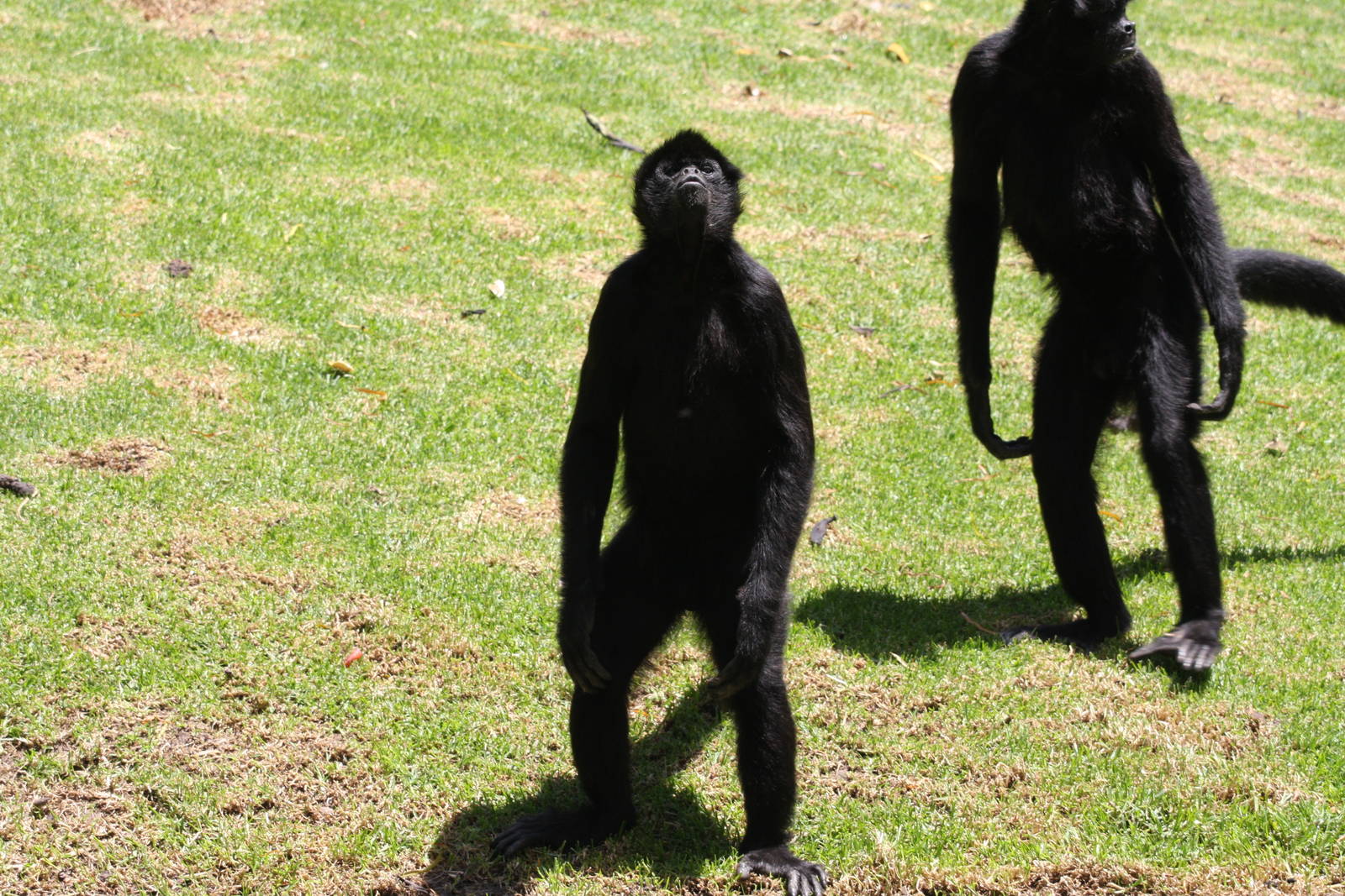 Parque Jaime Duque 2012