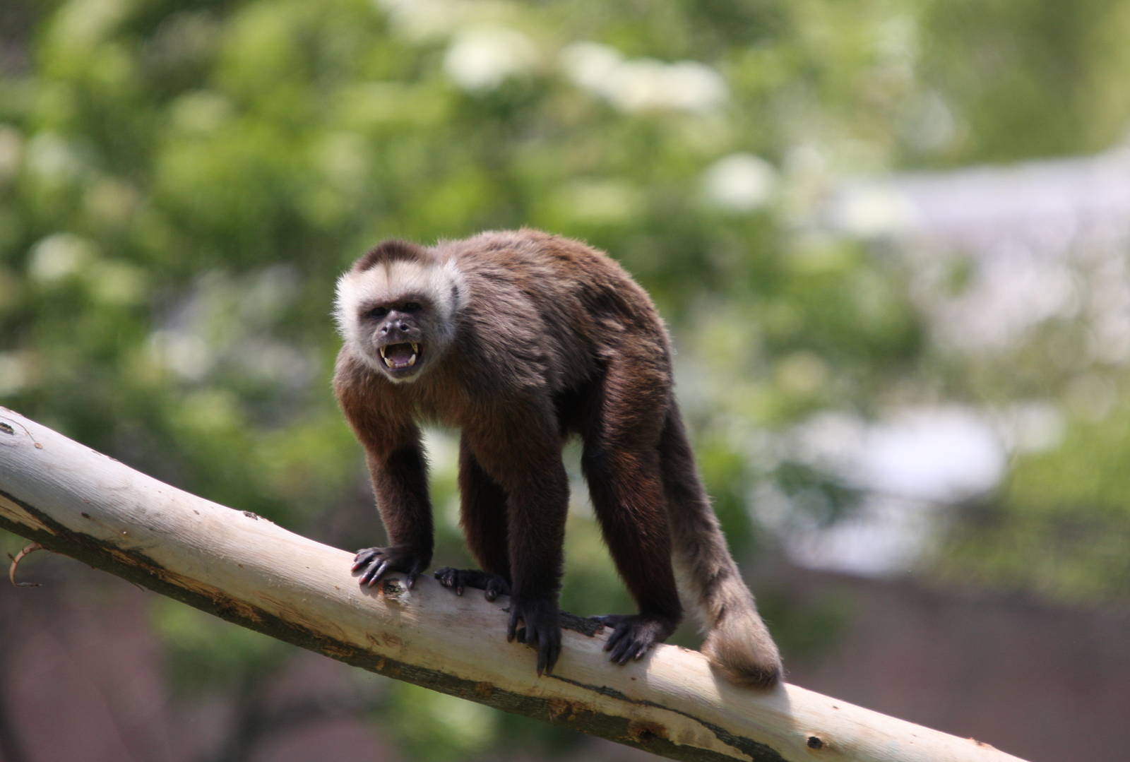 Parque Jaime Duque 2012