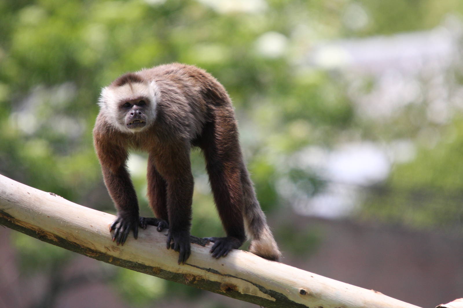 Parque Jaime Duque 2012