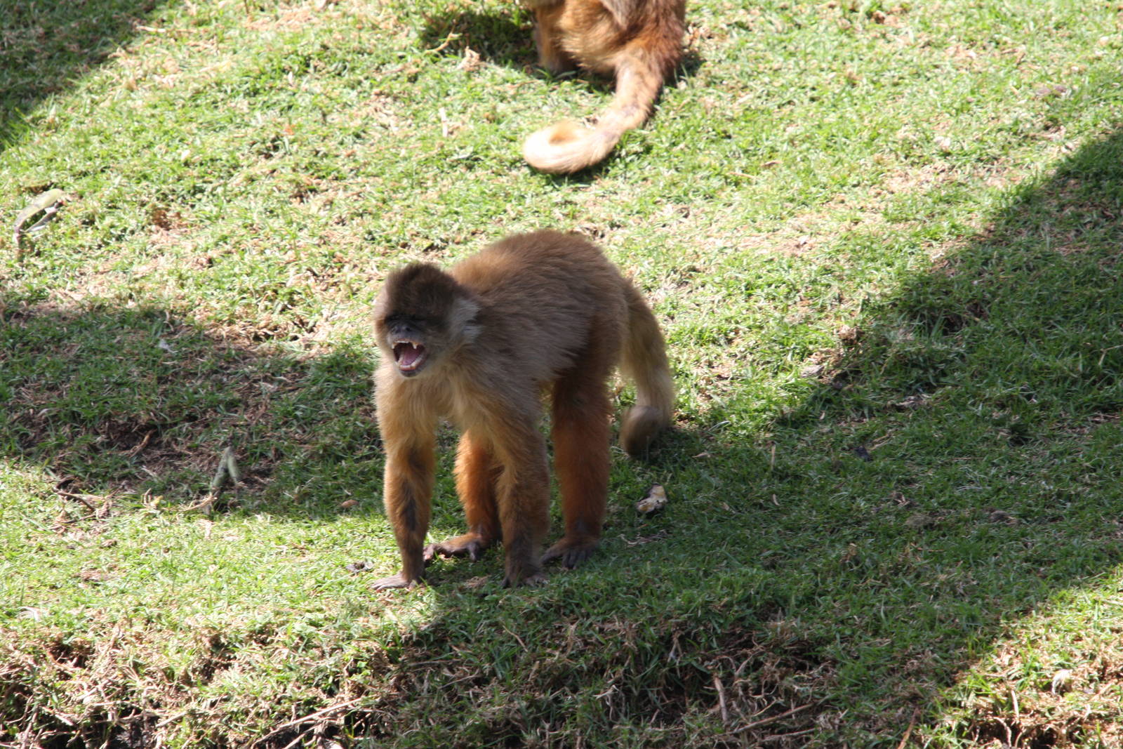Parque Jaime Duque 2012