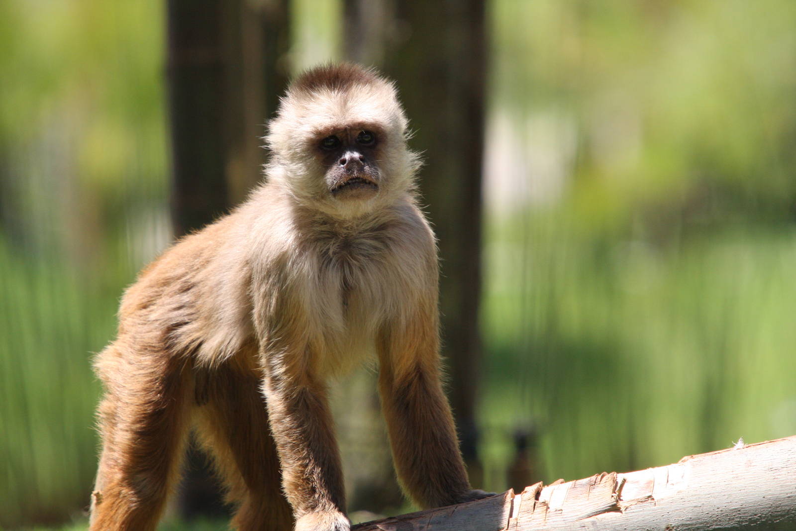 Parque Jaime Duque 2012