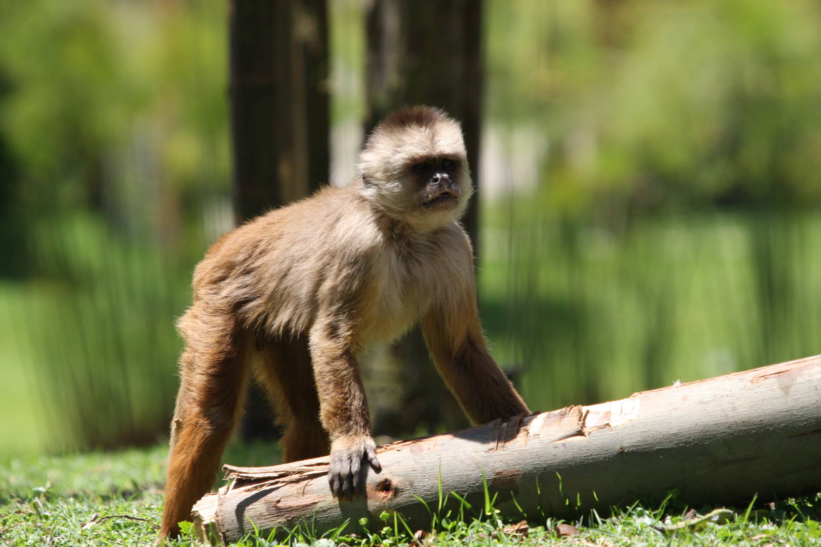 Parque Jaime Duque 2012