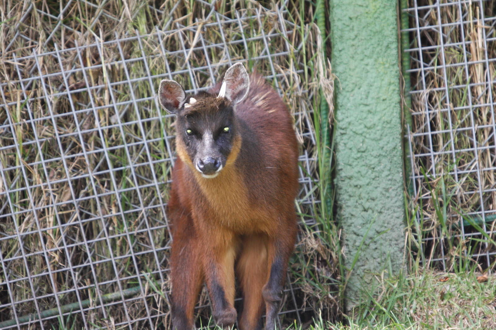 Parque Jaime Duque 2012