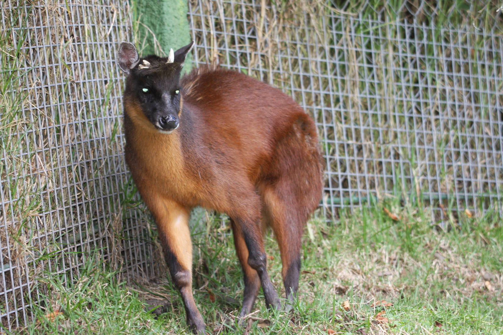 Parque Jaime Duque 2012
