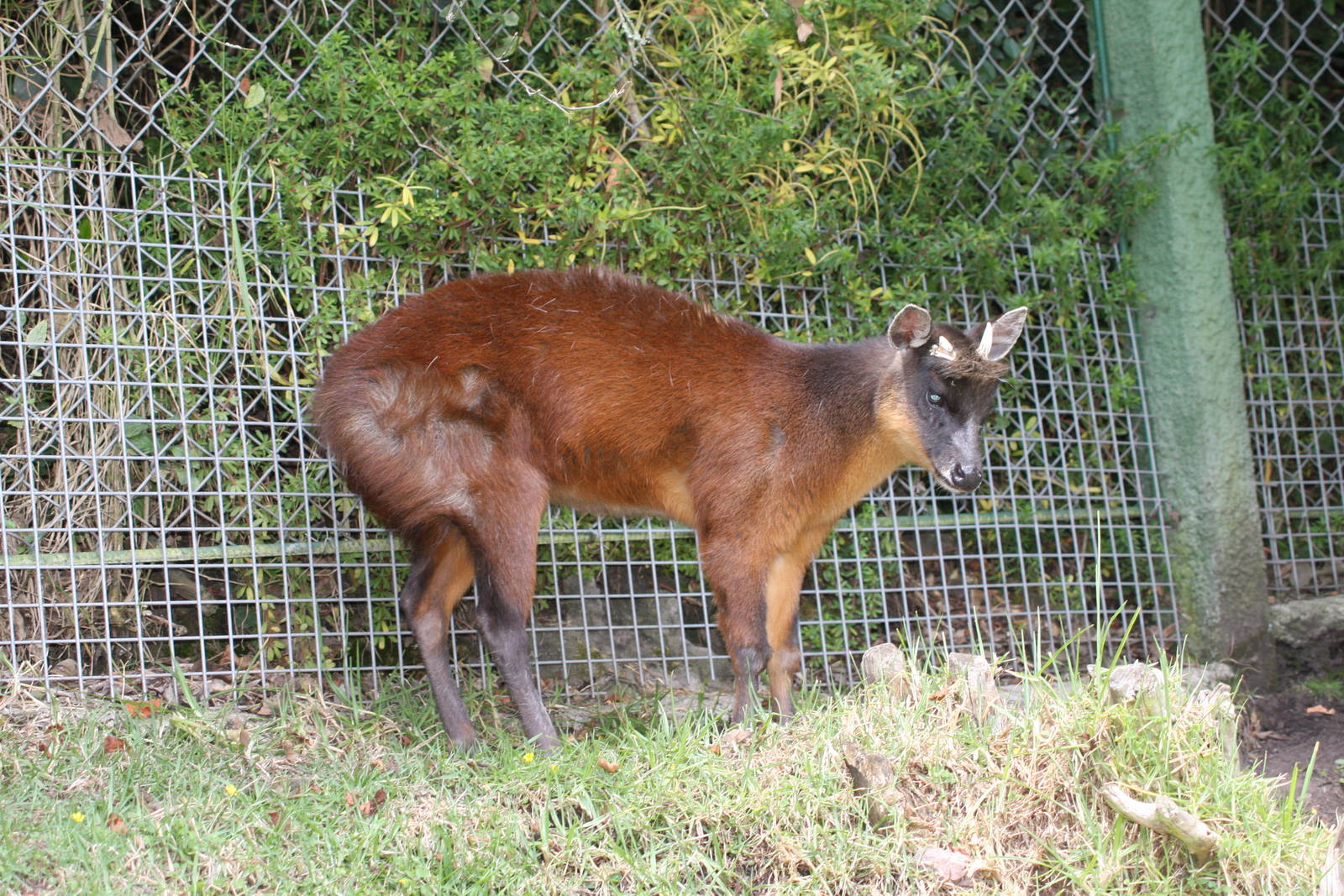Parque Jaime Duque 2012