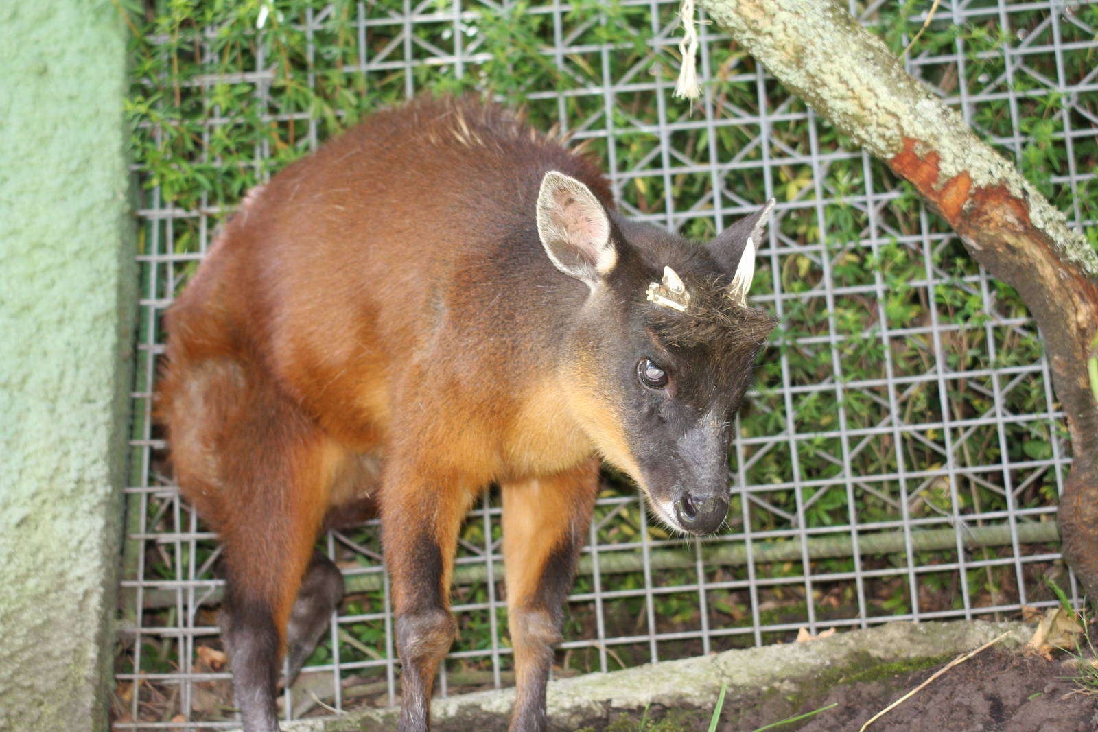 Parque Jaime Duque 2012