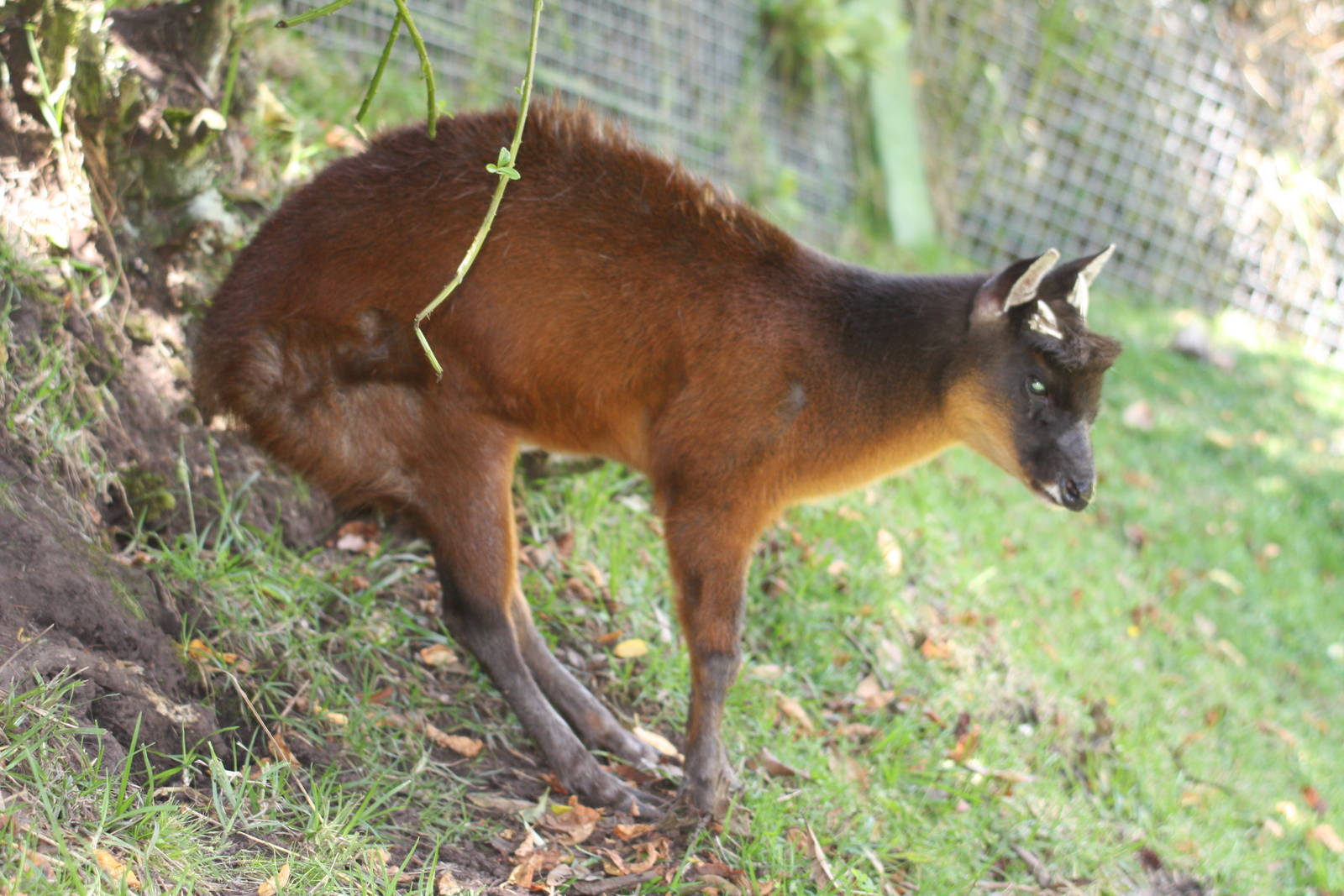 Parque Jaime Duque 2012