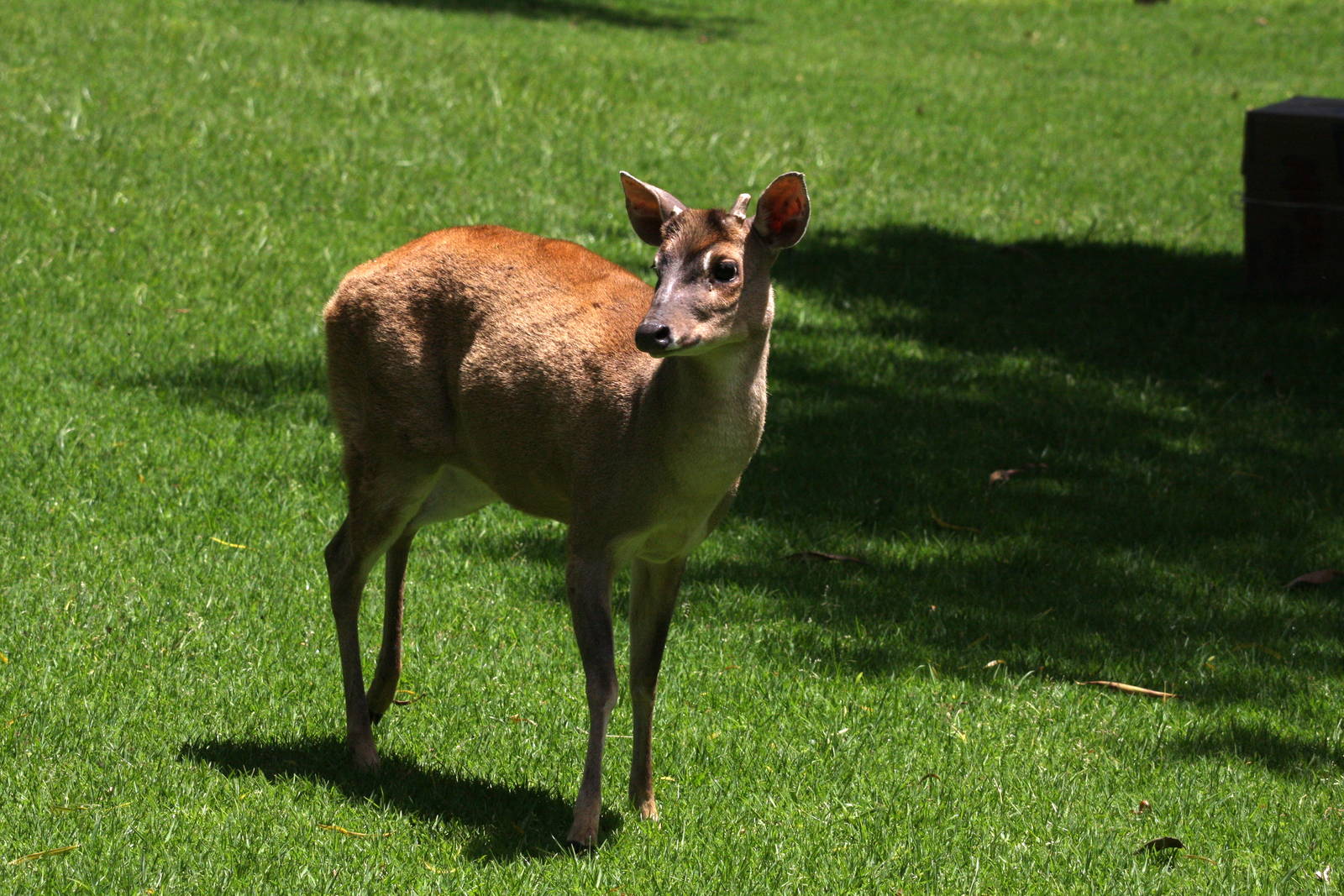 Parque Jaime Duque 2012