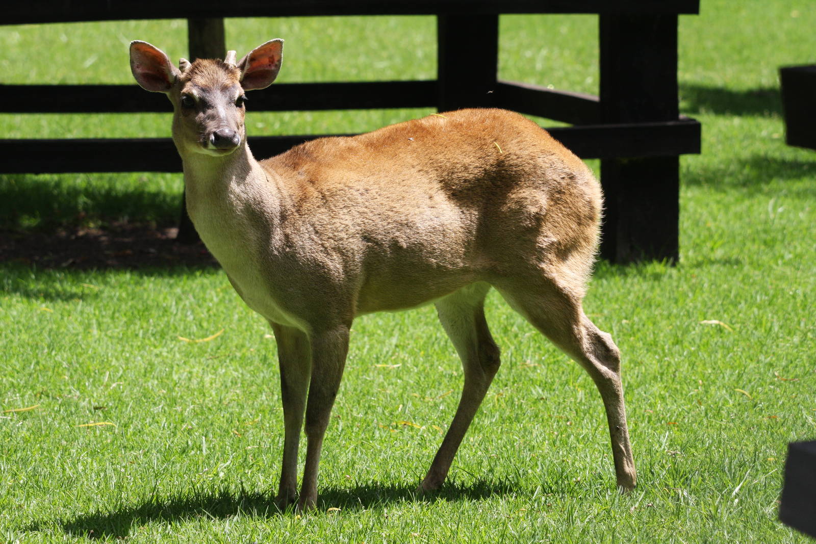 Parque Jaime Duque 2012