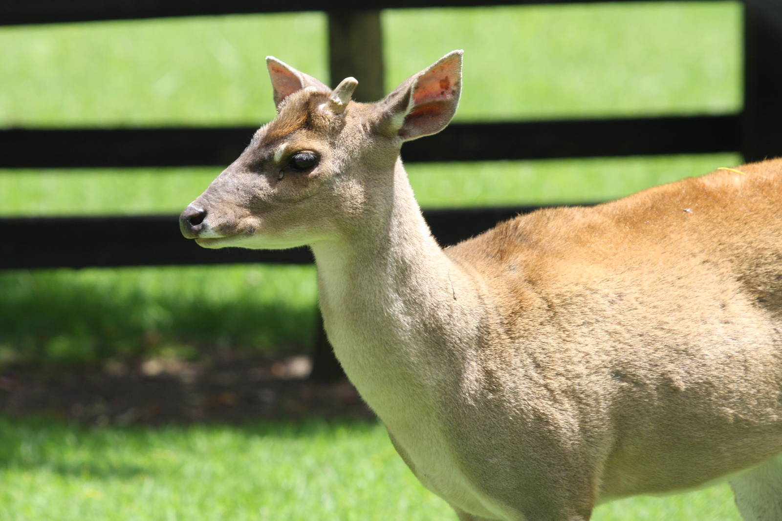 Parque Jaime Duque 2012