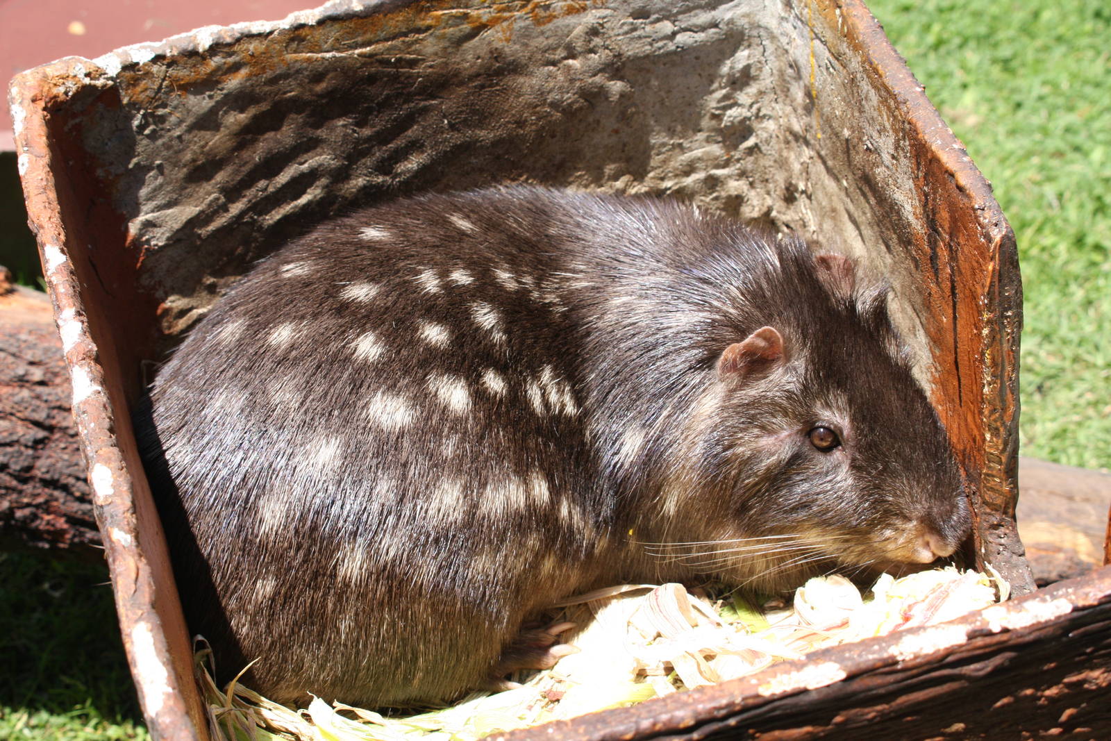 Parque Jaime Duque 2012