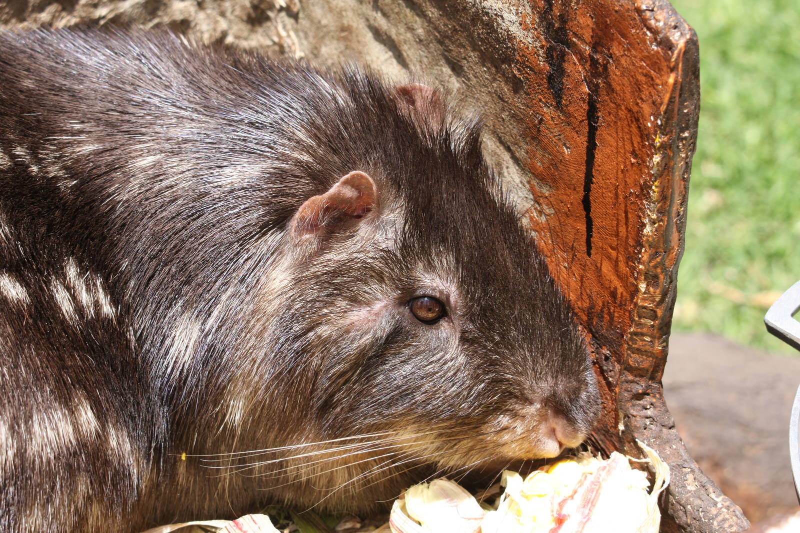 Parque Jaime Duque 2012