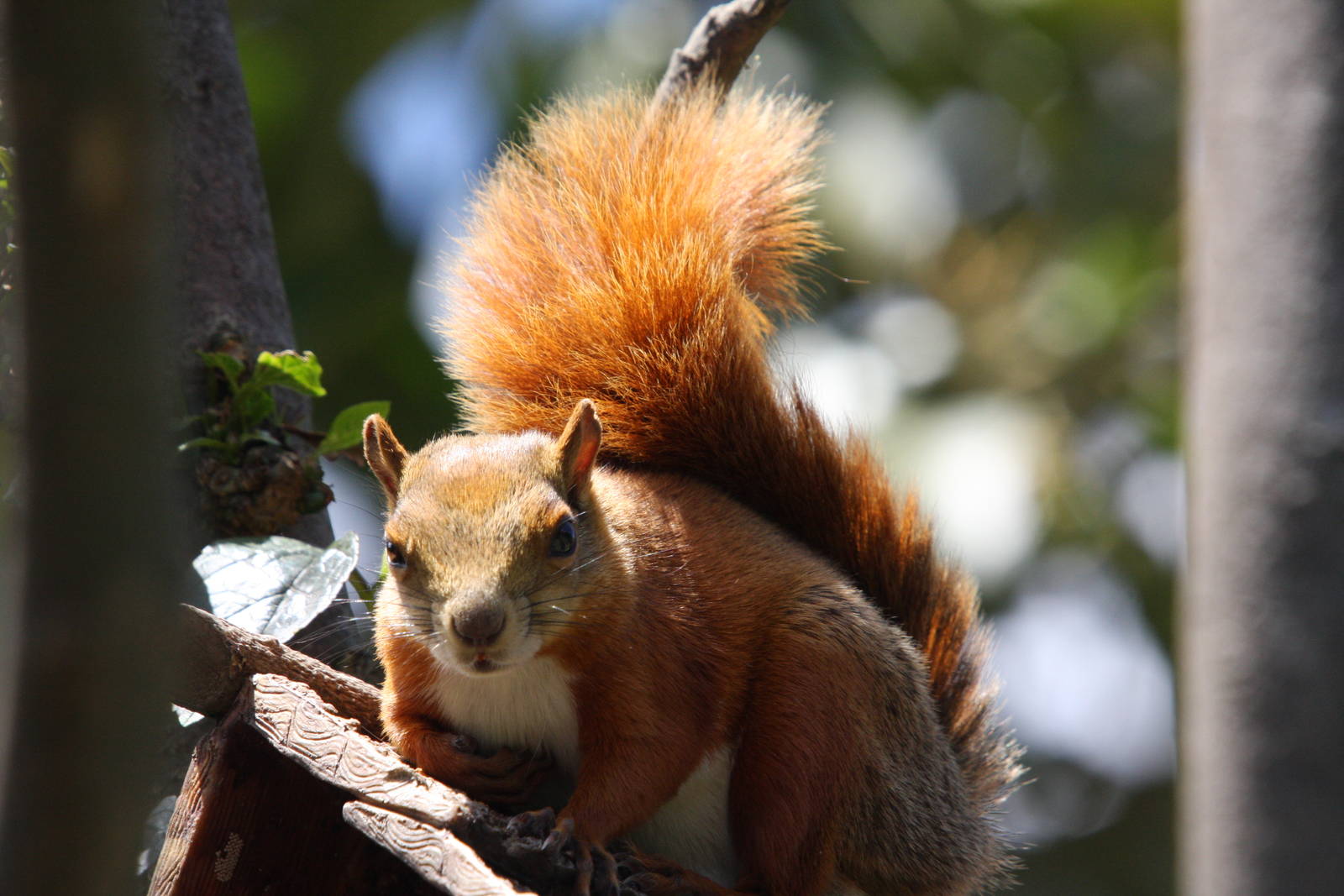 Parque Jaime Duque 2012