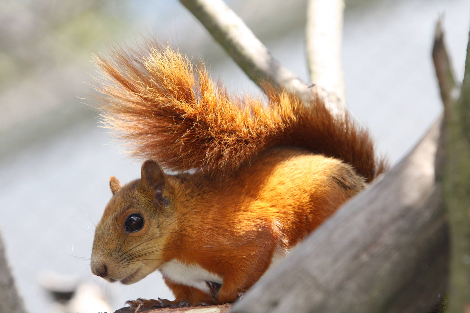 Parque Jaime Duque 2012