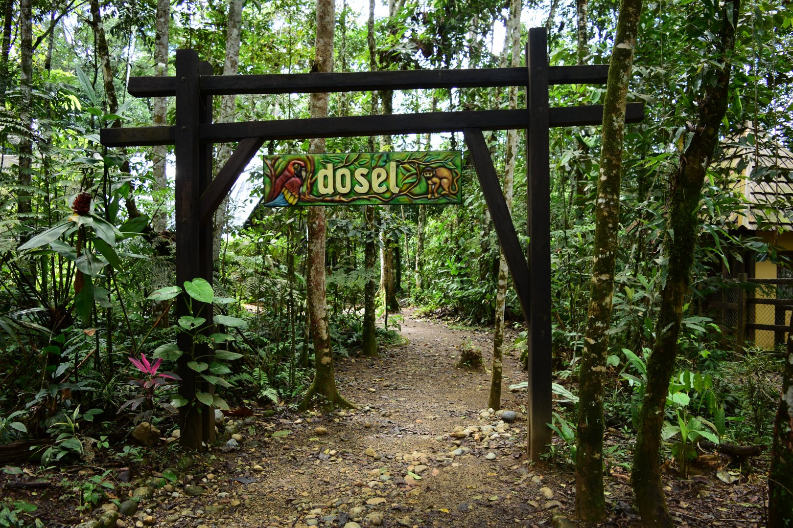 Parque Suruma - entrance to the Dosel (Forest Canopy area)