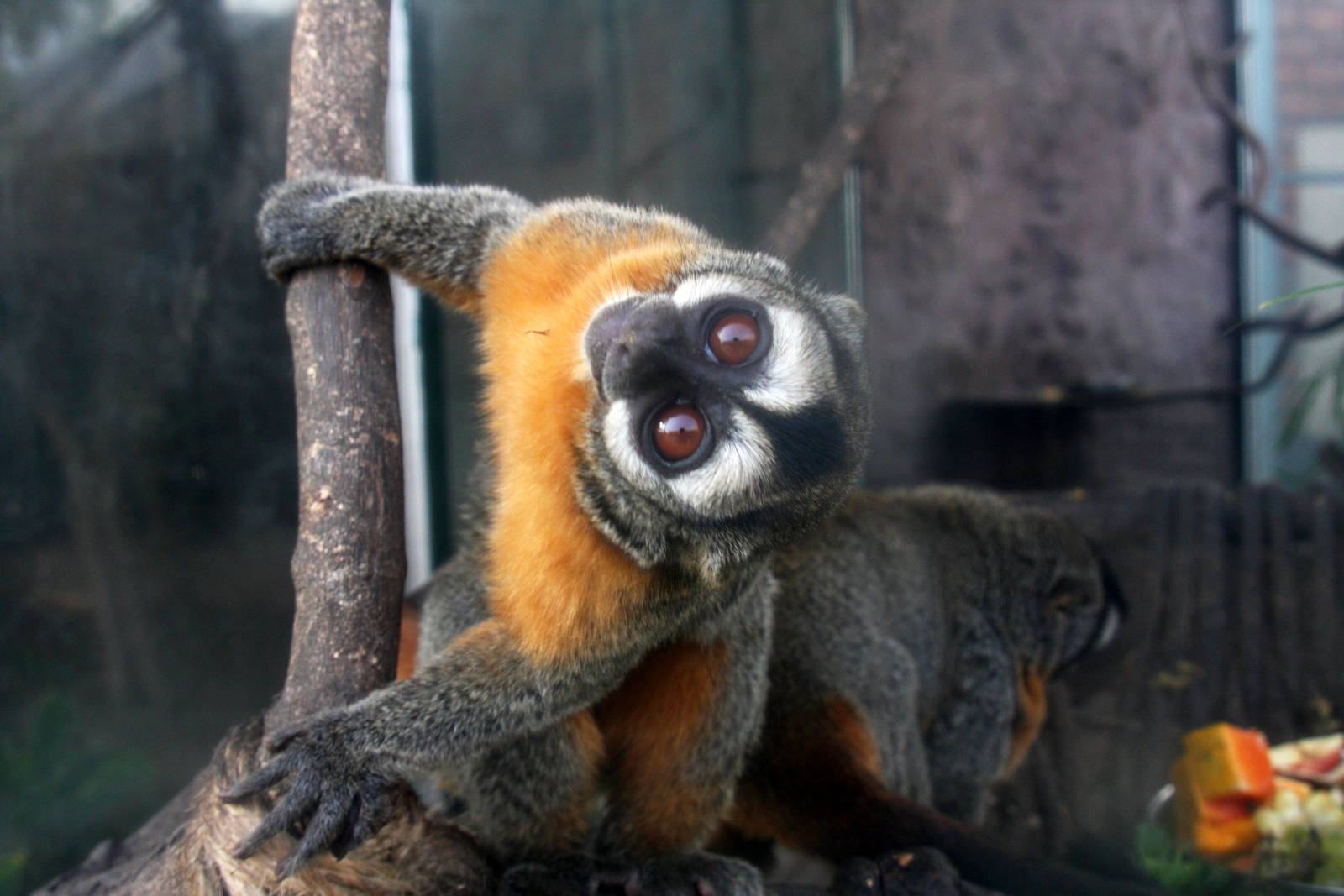 Parque Zoologico Huachipa 2012
