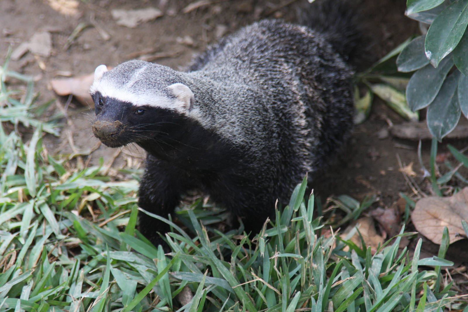 Parque Zoologico Huachipa 2012