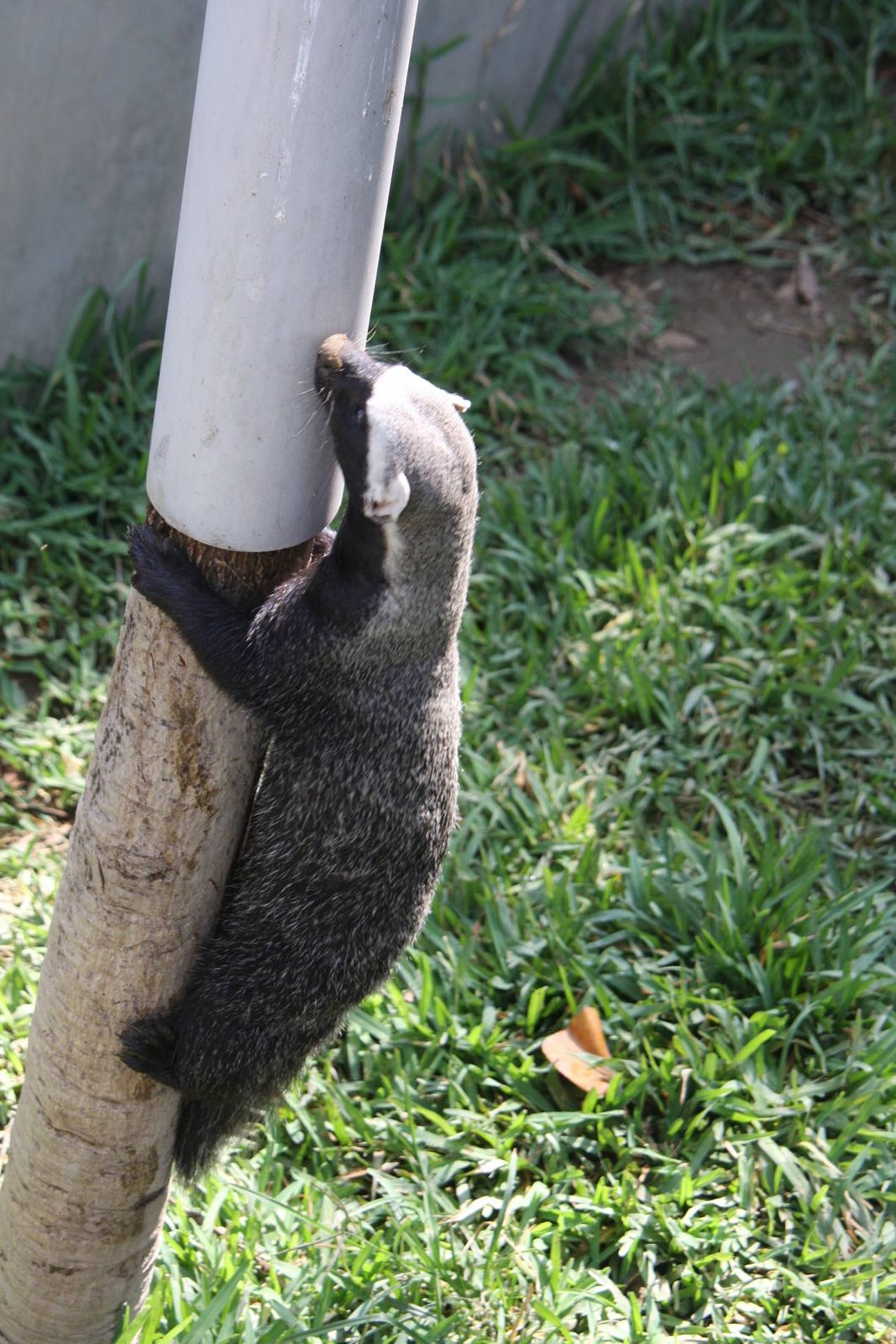 Parque Zoologico Huachipa 2012
