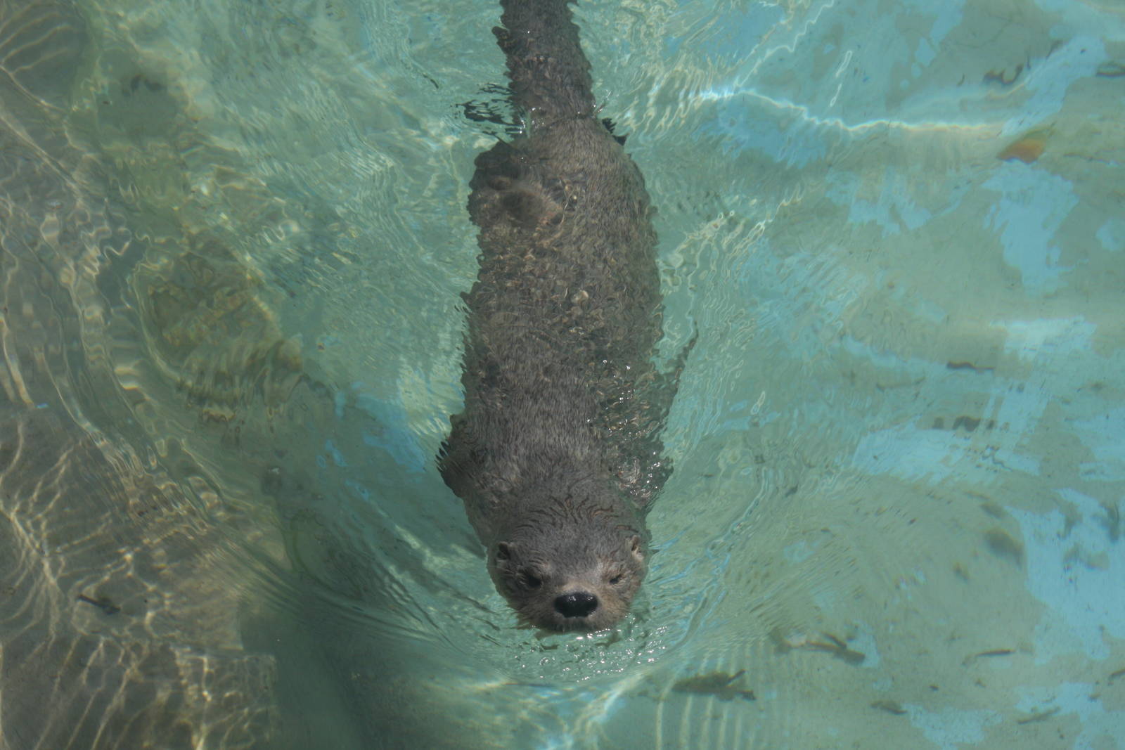 Parque Zoologico Huachipa 2012