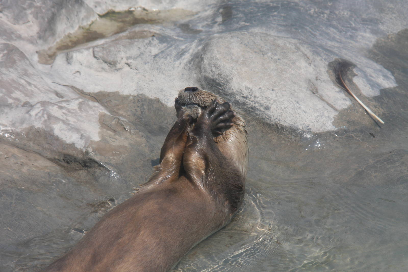 Parque Zoologico Huachipa 2012