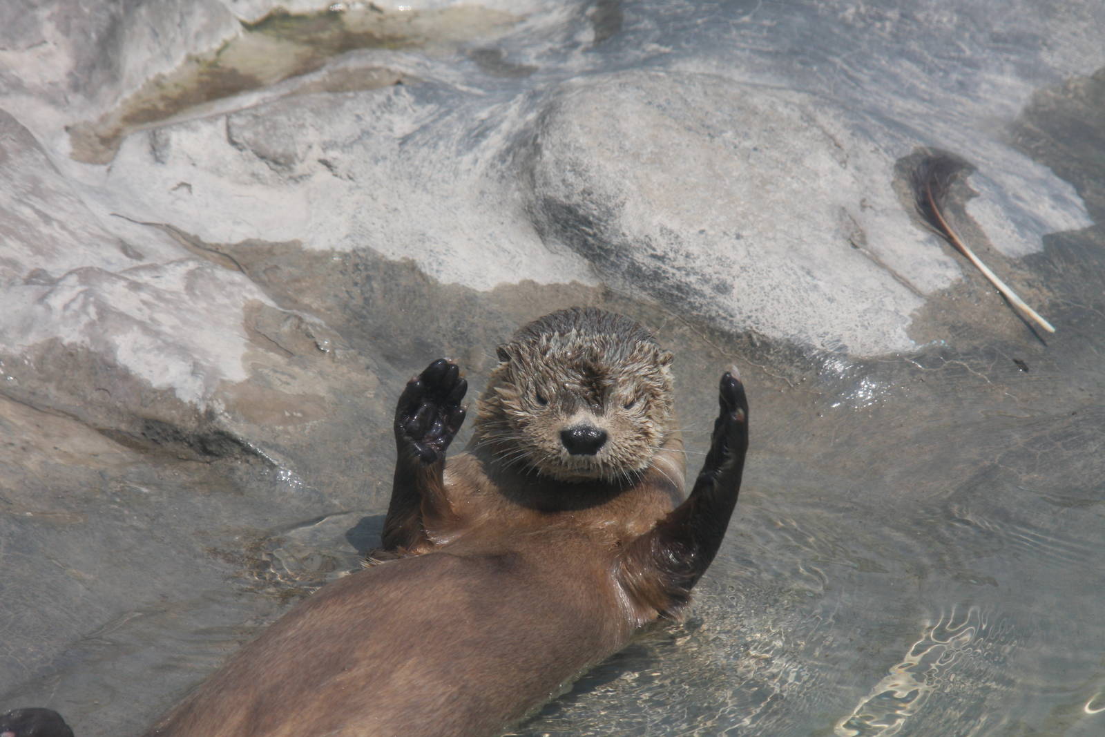 Parque Zoologico Huachipa 2012