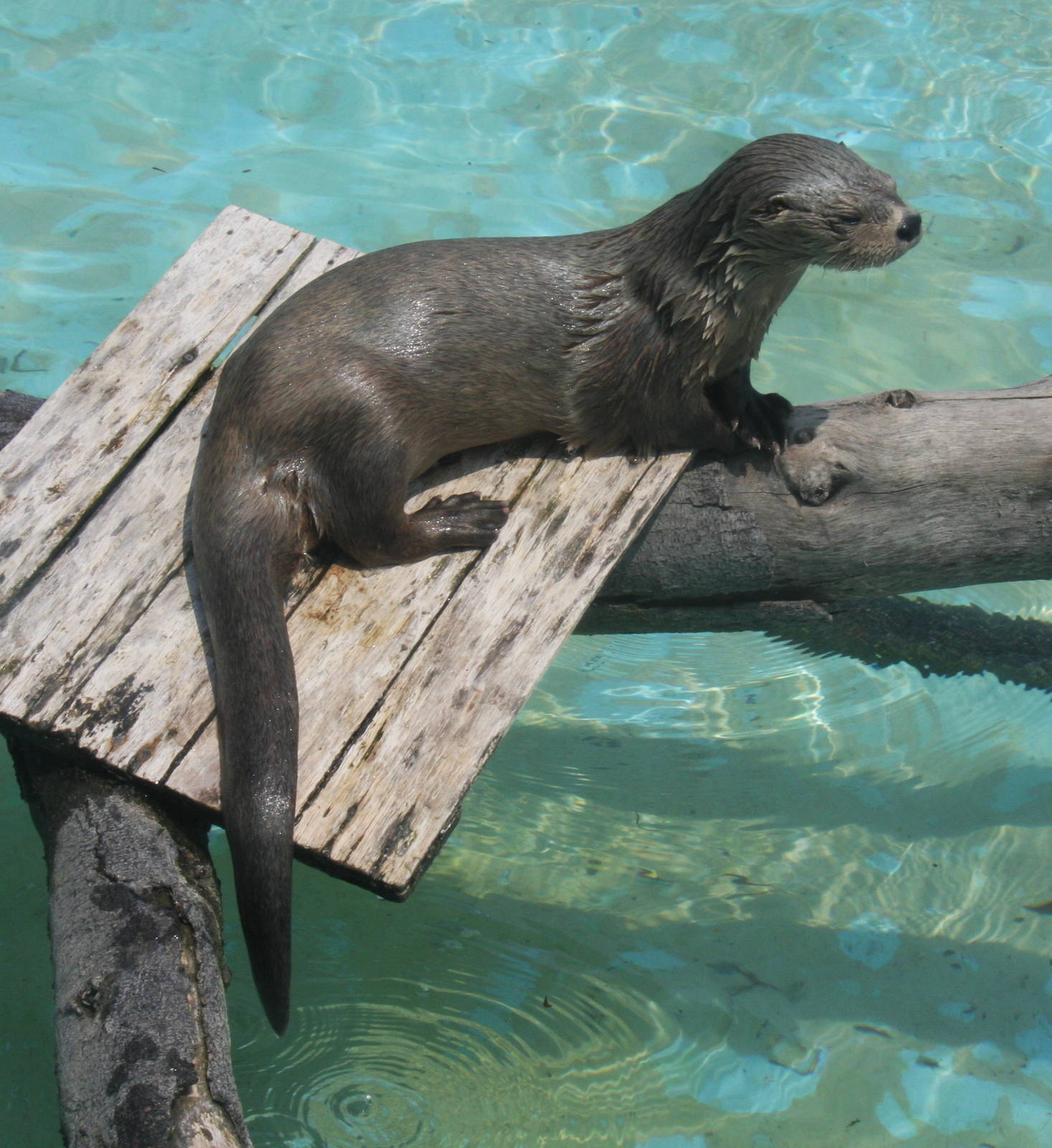 Parque Zoologico Huachipa 2012