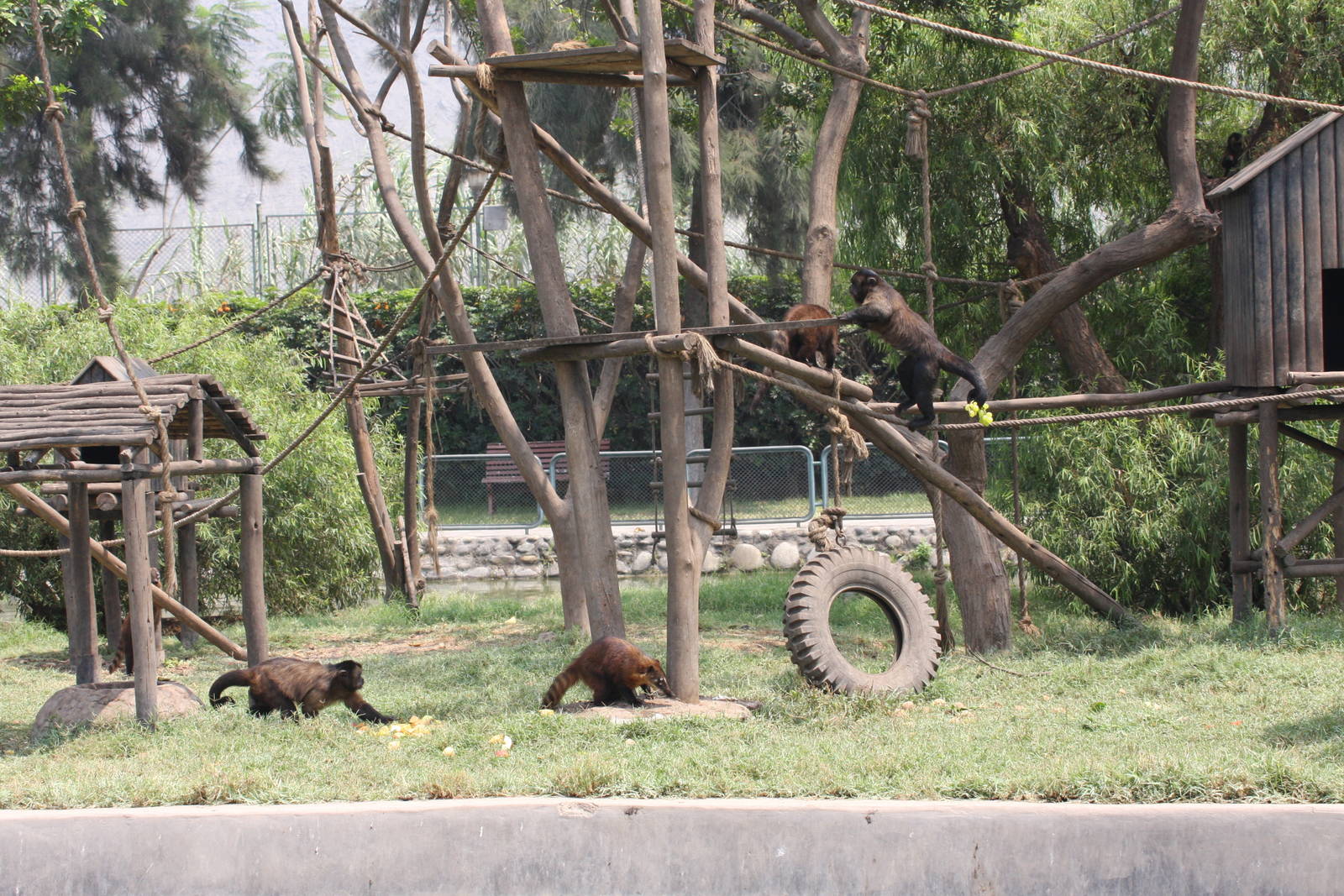 Parque Zoologico Huachipa 2012