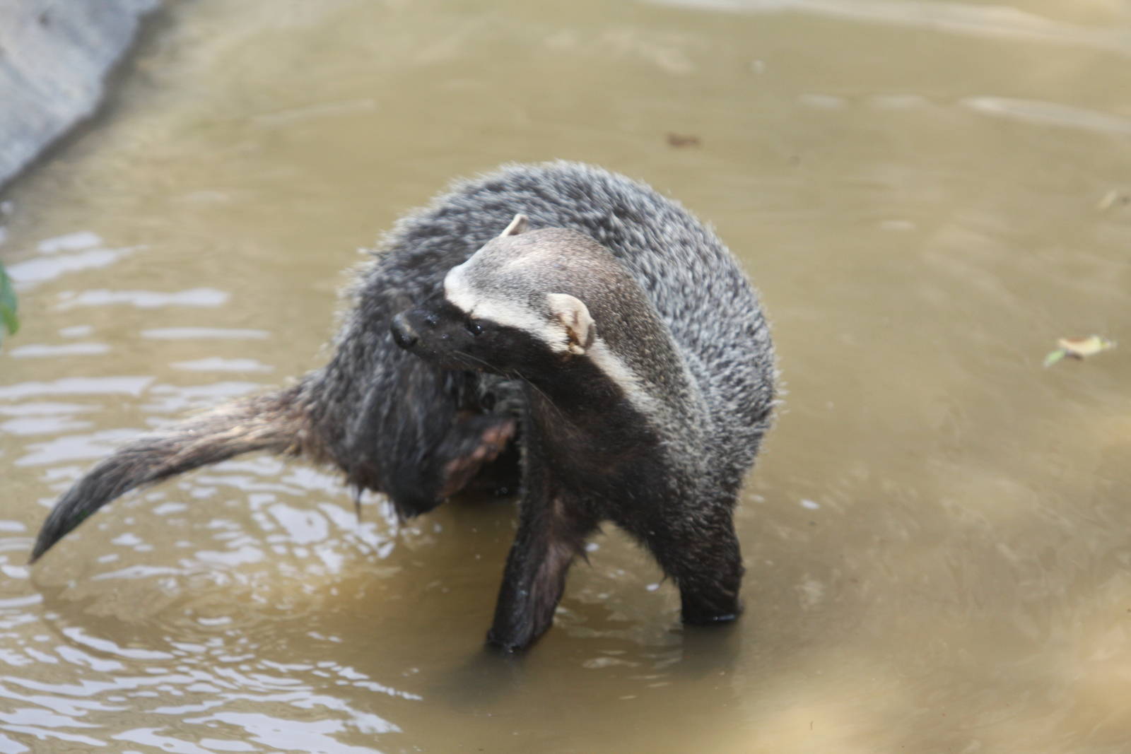 Parque Zoologico Huachipa 2012
