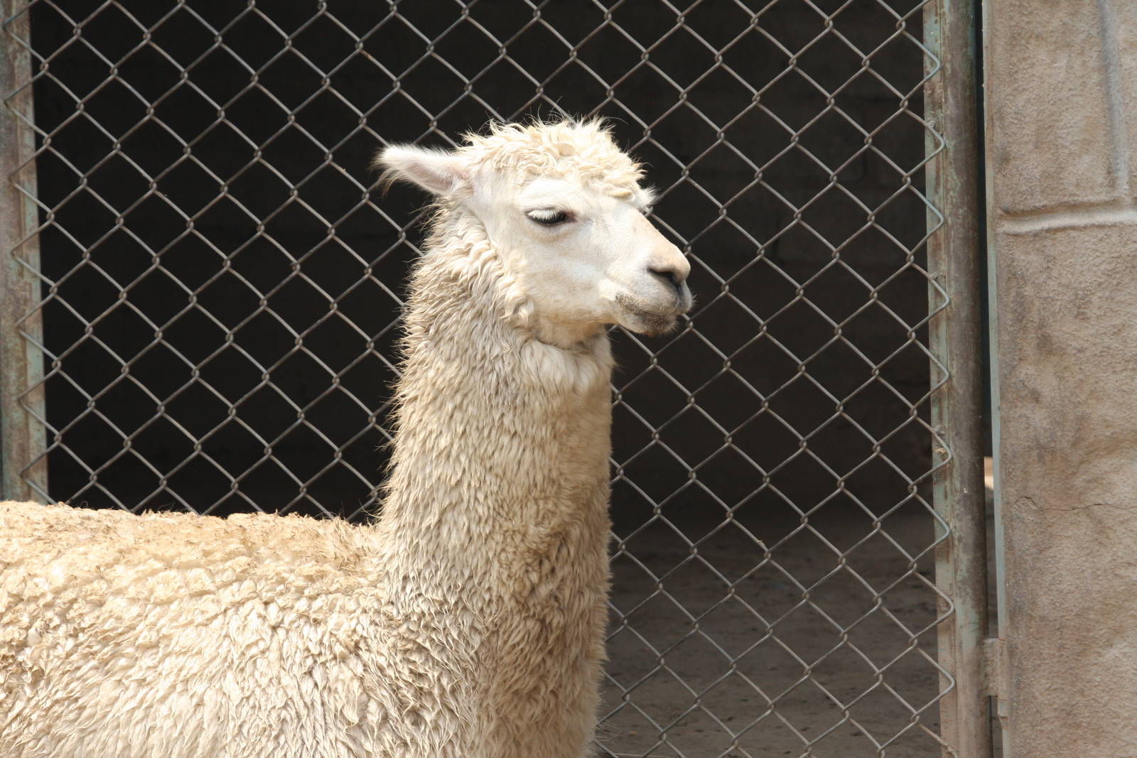 Parque Zoologico Huachipa 2012