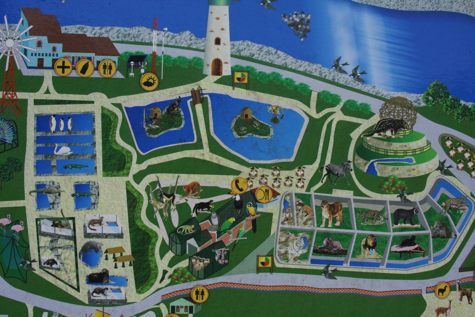 Parque Zoologico Huachipa 2012