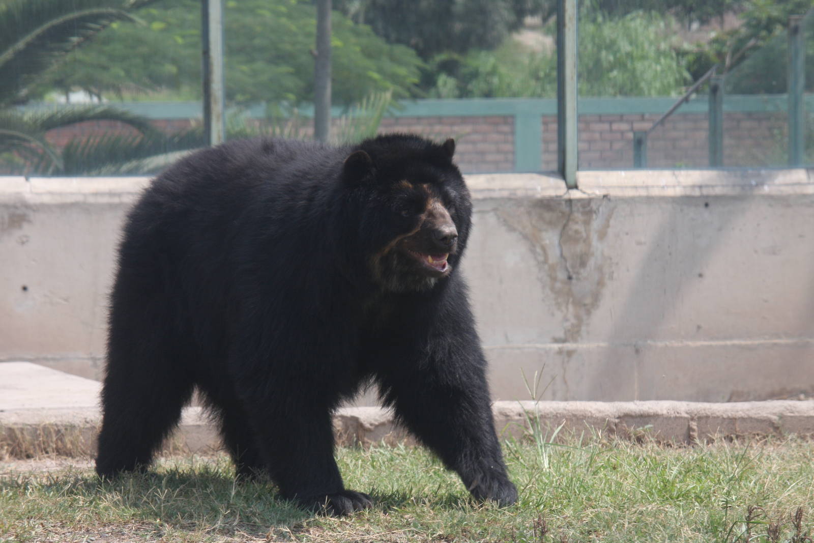 Parque Zoologico Huachipa 2012