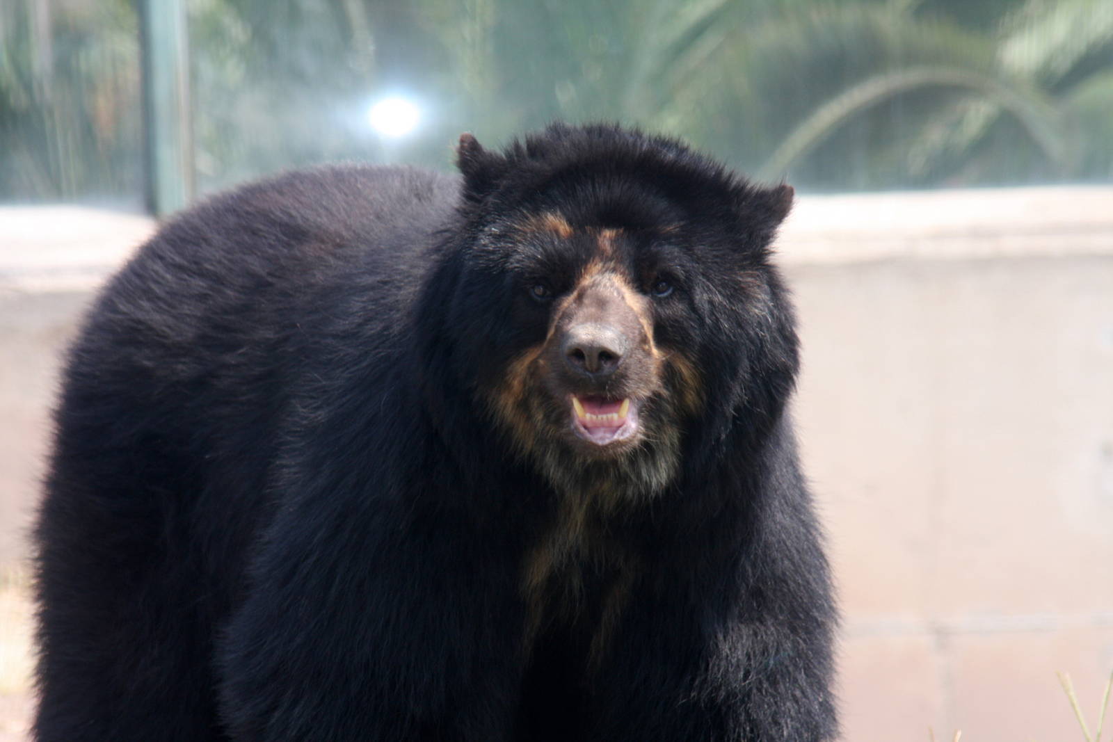 Parque Zoologico Huachipa 2012