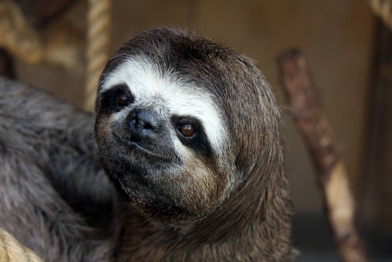 Parque Zoologico Huachipa 2012