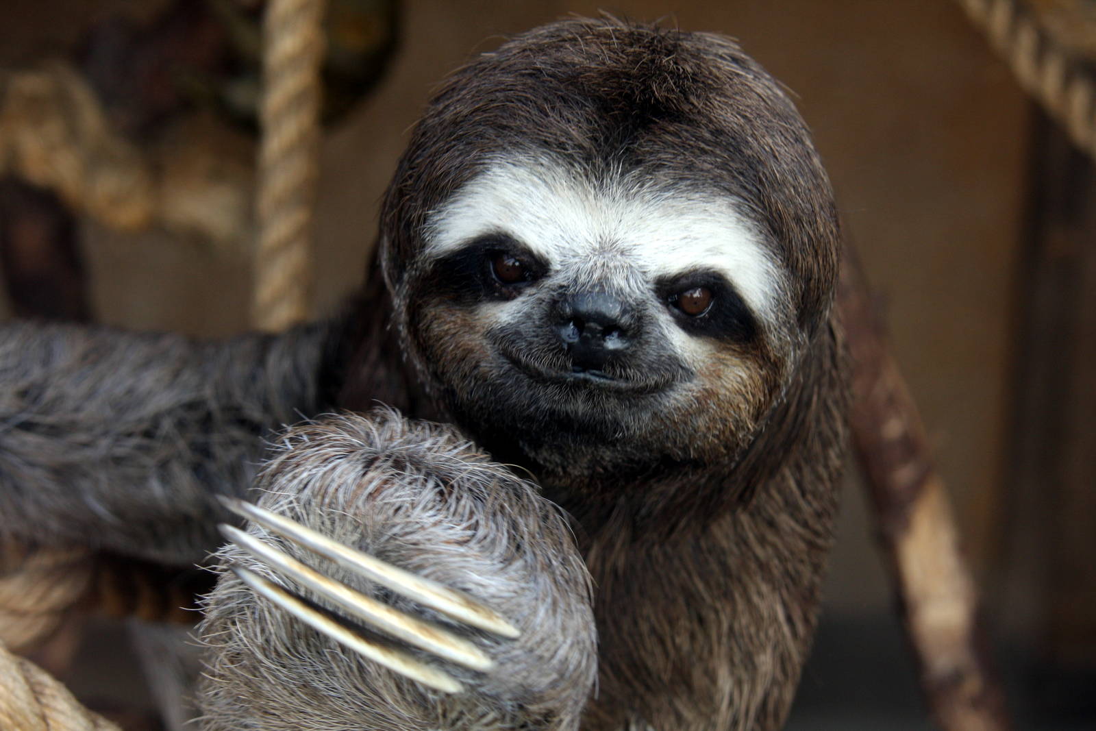 Parque Zoologico Huachipa 2012