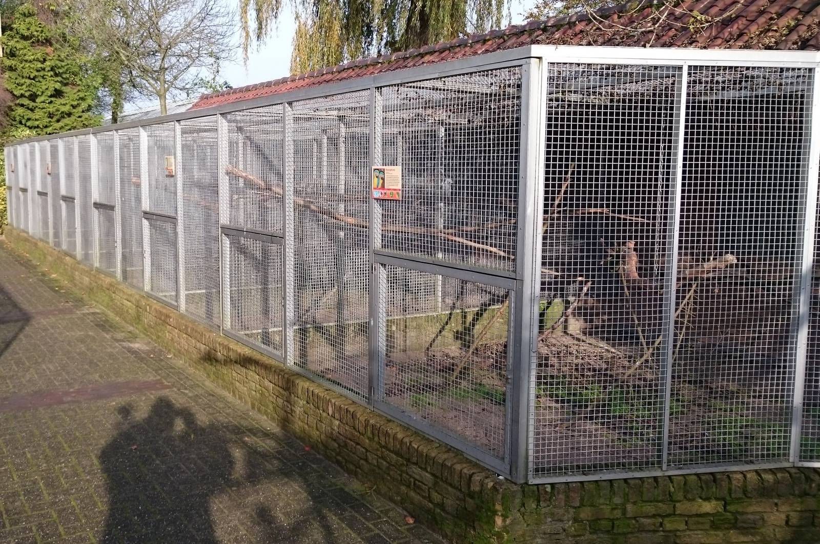 Parrot and parakeet aviaries