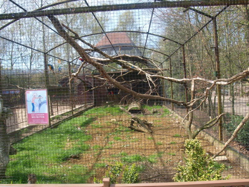 Parrot and seriema aviary (April 19th, 2015)