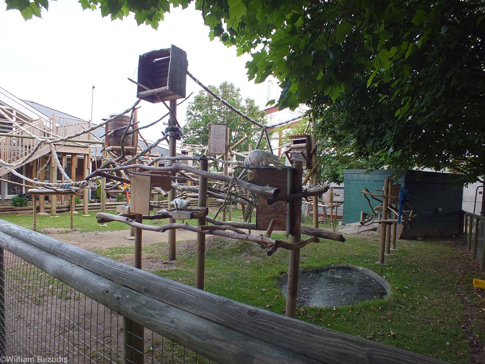 Parrot And Tortoise Enclosure