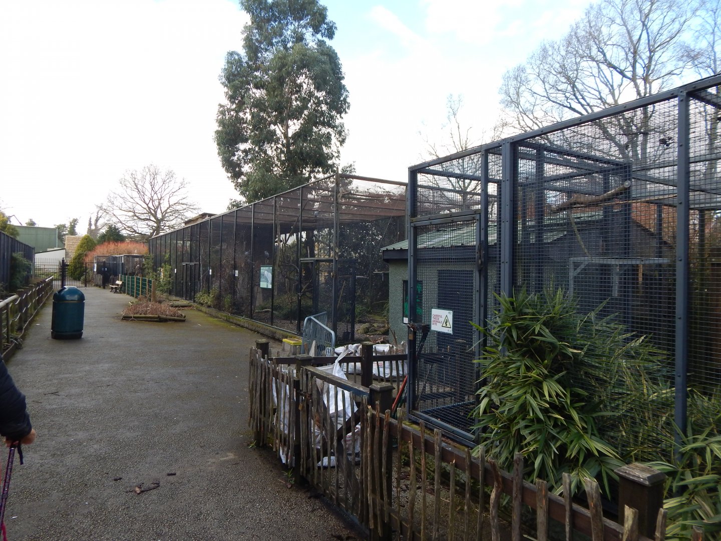 Parrot aviaries 040324
