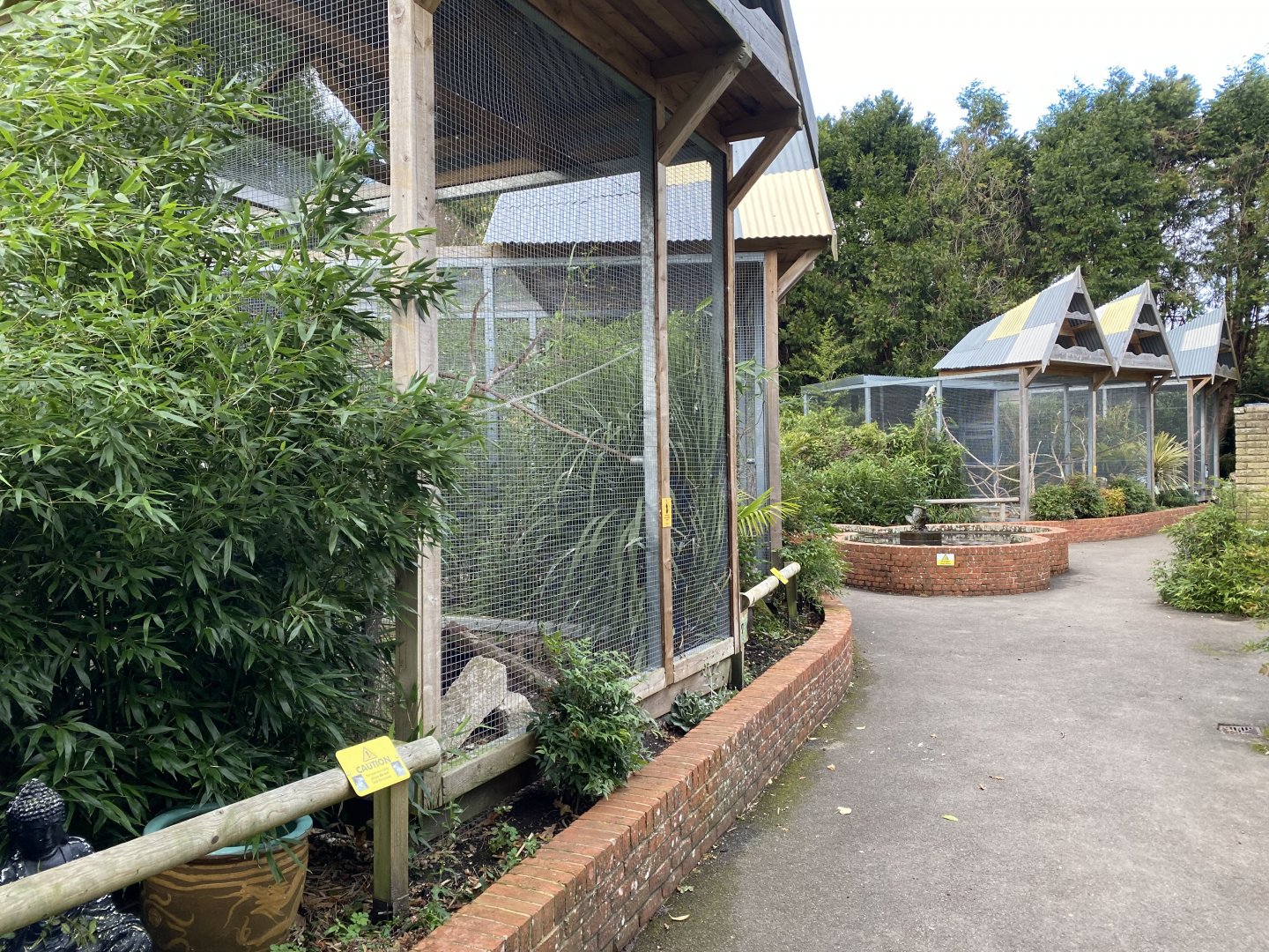 Parrot aviaries 061121