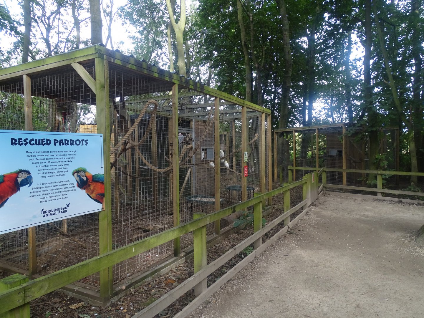 Parrot aviaries, 16th October 2023
