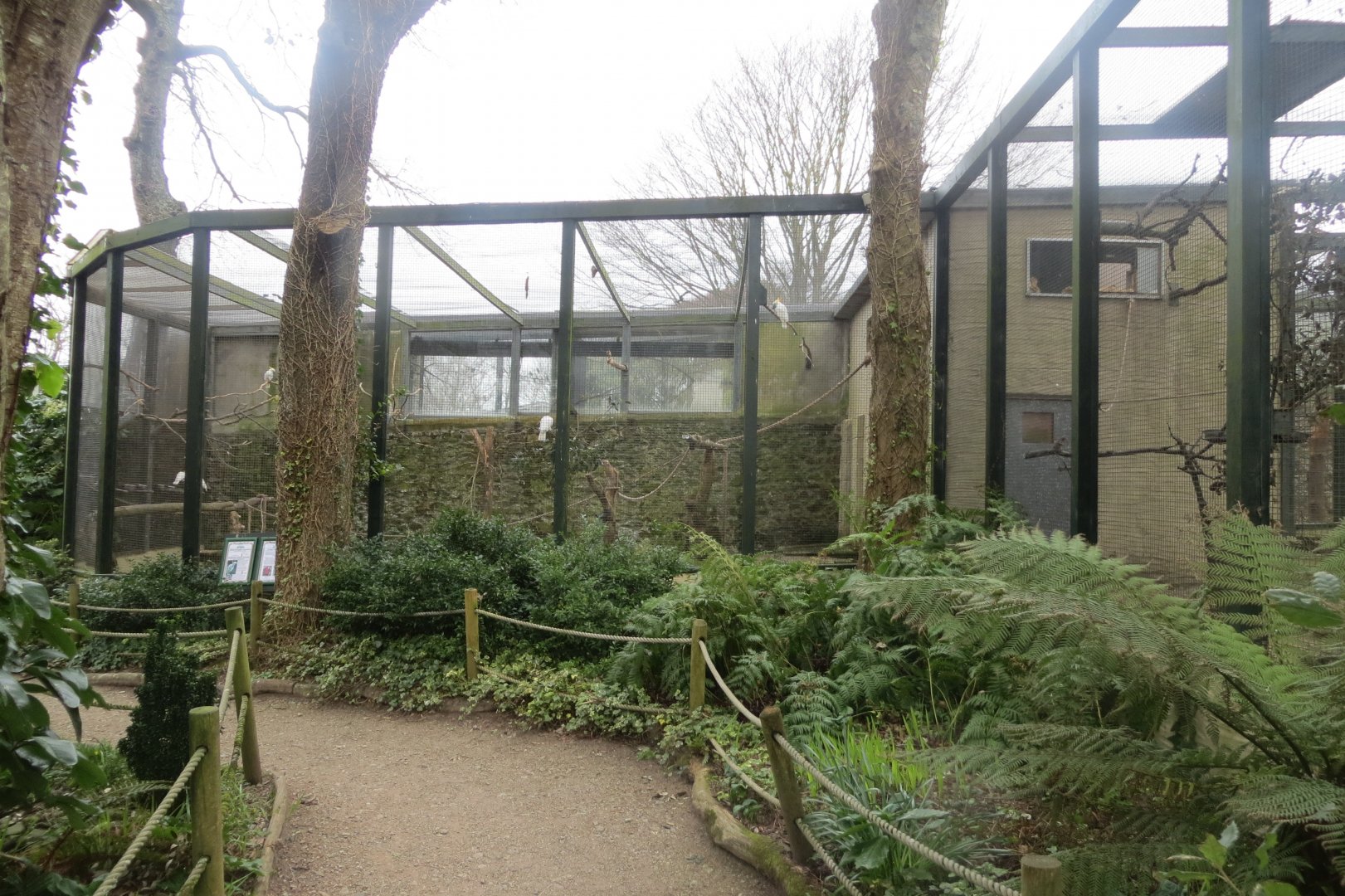 Parrot aviaries 190219