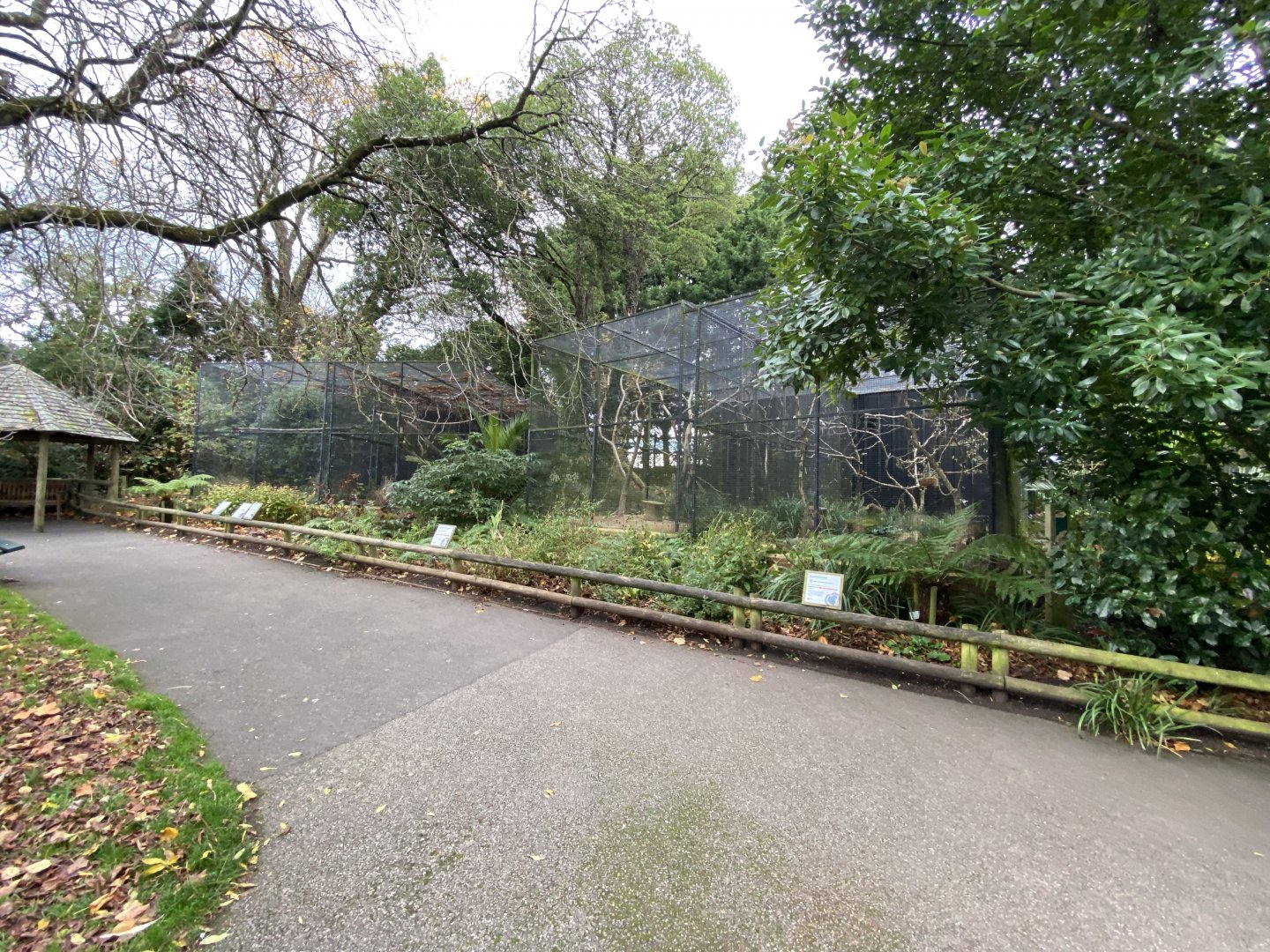 Parrot aviaries 201121